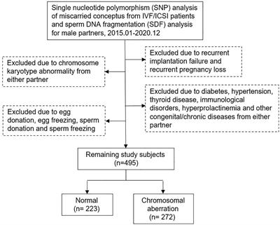 Elevated sperm DNA fragmentation is correlated with an increased chromosomal aneuploidy rate of miscarried conceptus in women of advanced age undergoing fresh embryo transfer cycle